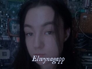 Elwynagapp