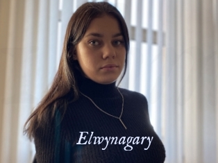 Elwynagary