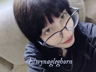 Elwynagleghorn