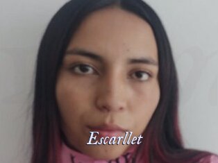 Escarllet