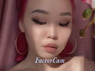 FactorCam