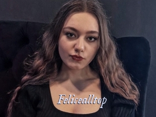 Felicealltop