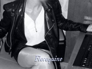 flocoquine 1 chatte mouillée