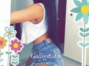 Gallegoisabel