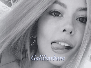 Gallibarbara