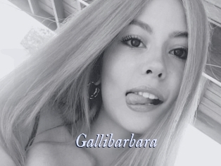 Gallibarbara