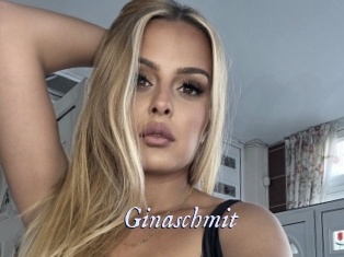 Ginaschmit
