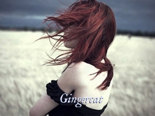 Gingercat