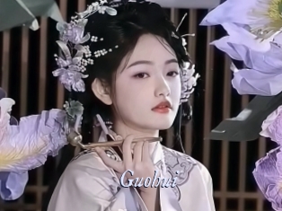 Guohui