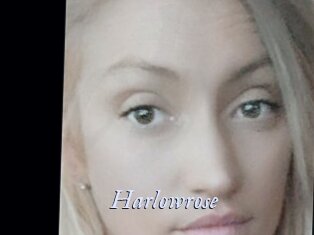 Harlowrose