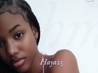 Haya23