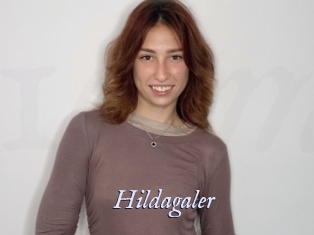 Hildagaler