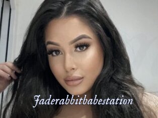 Jaderabbitbabestation