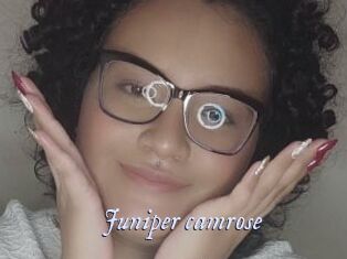 Juniper_camrose