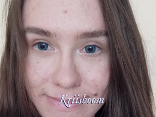 Kriisboom