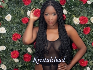 kristalcloud 1 chatte mouillée