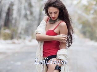 LediAmina