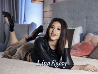 LinaRosay 1 chatte mouillée