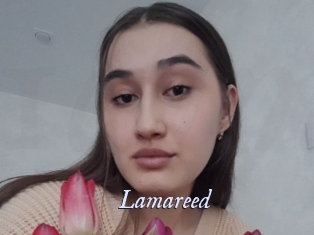 Lamareed