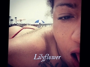 Lilyflower