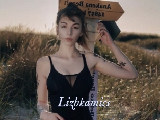 Lizhkamics