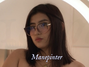 Manepinter