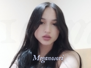 Meganosori