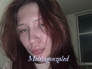 Melisagonzaled