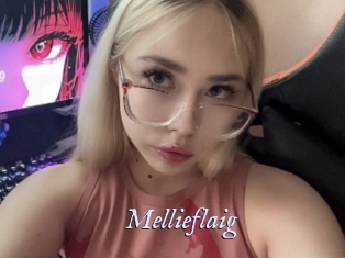 mellieflaig 1 chatte mouillée