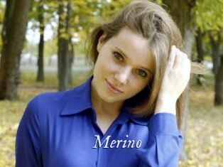 Merino