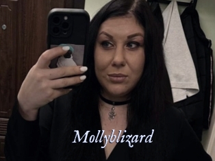 Mollyblizard