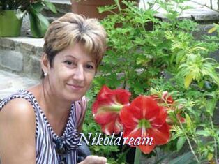 Nikoldream