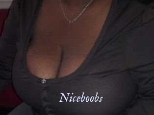 Niceboobs
