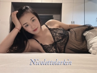 nicolettelarkin 1 chatte mouillée