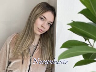 Noreenbunte