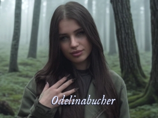 Odelinabucher