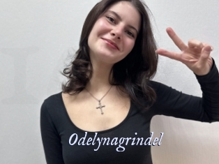 Odelynagrindel