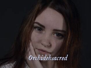 Orchidehsacred