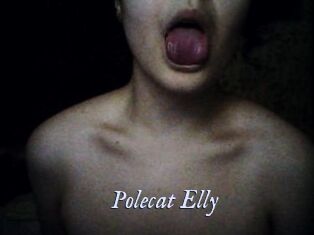 Polecat_Elly