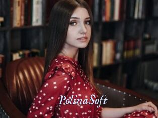 PolinaSoft