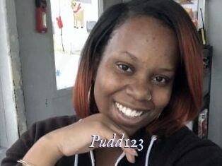 Pudd123
