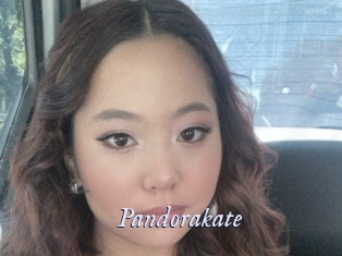 pandorakate 1 chatte mouillée