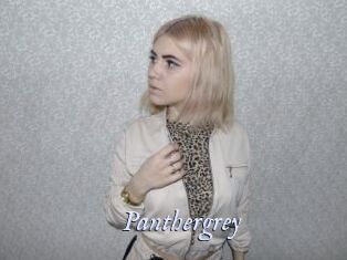 Panthergrey
