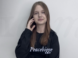 Peacebigge