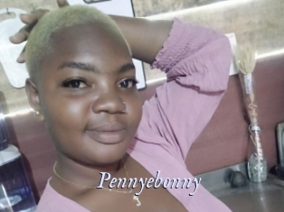 Pennyebonny