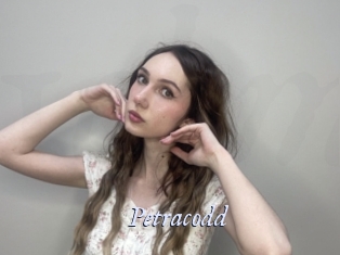 petracodd 1 chatte mouillée