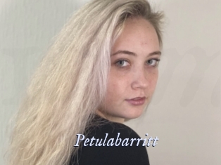 Petulabarritt