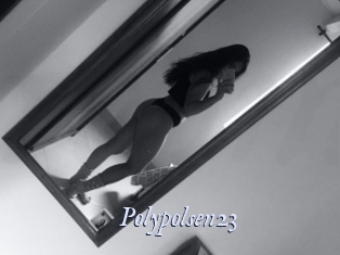 Polypolsen23