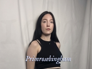 Primrosebingham