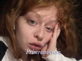 Primroseborom